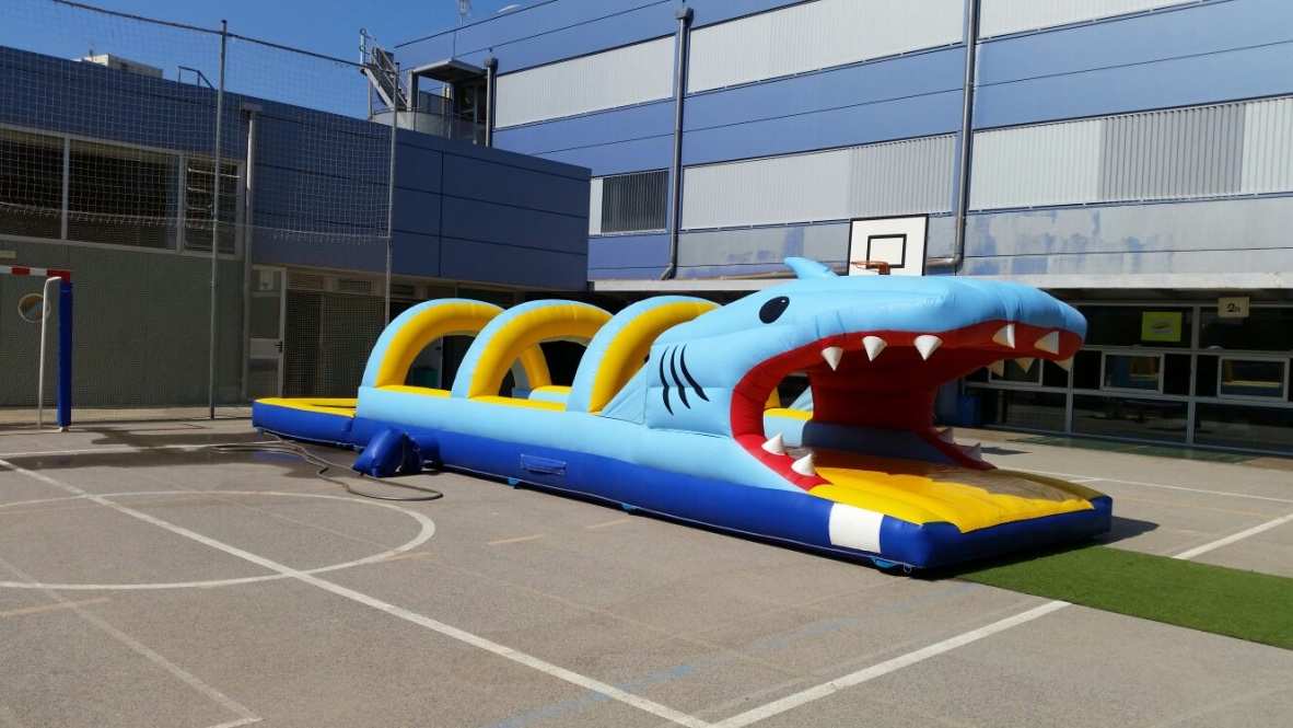 Hinchable acuatico de alquiler