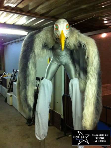 zancudos animales barcelona