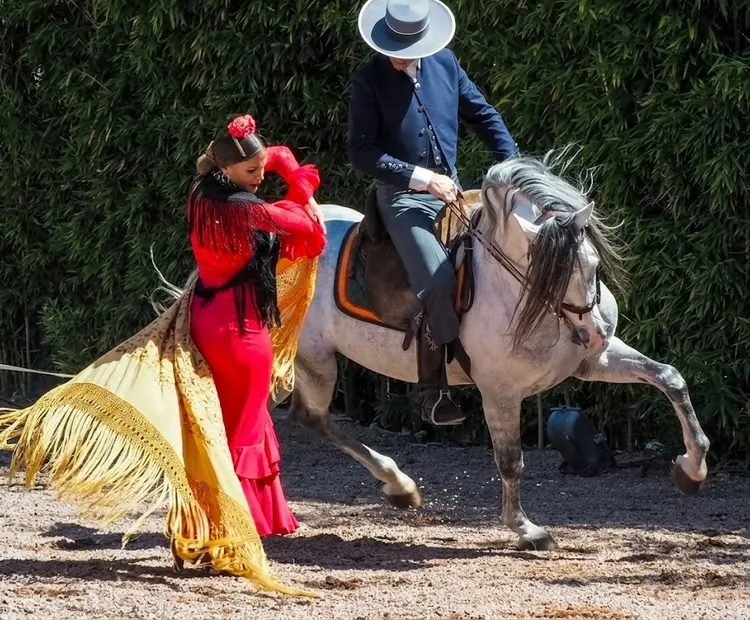 Show Flamenco para Eventos y Bodas