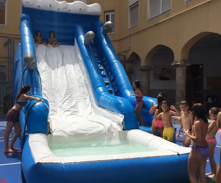 Hinchable Acuático con Tobogán Delfín para eventos