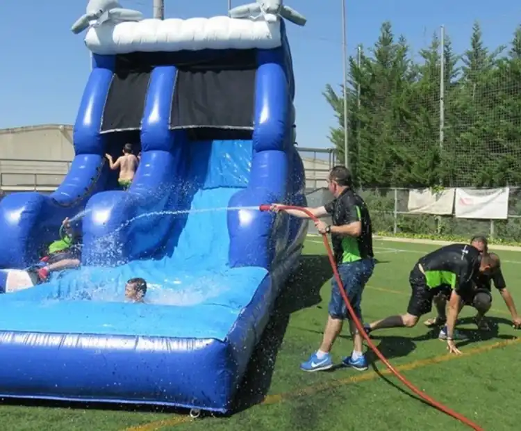 Hinchable Acuático con Tobogán Super Delfín para eventos