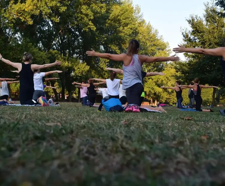Wellness Themed Event