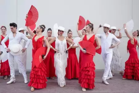 Flamenco Show para eventos 