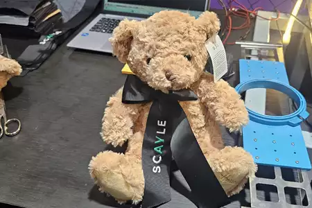 personalizaciond e peluches