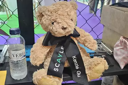 personalizacion de peluches para congresos