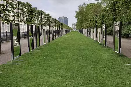 alquiler espejos loco