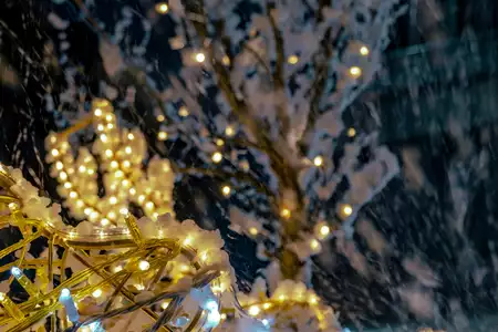 cañón de nieve ambiente navideño eventos