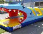 Deslizador Tiburón