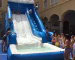 Hinchable de Agua Delfín