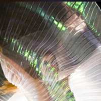 espectaculo alas de isis barcelona