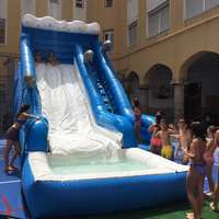 Hinchable de Agua Delfín