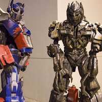 Zancudos Transformen