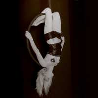 espectaculo-aereo-con-aros