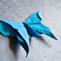 Origami-para-Eventos