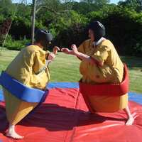 Sumo-para-eventos