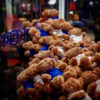 Gruas expendedoras peluches