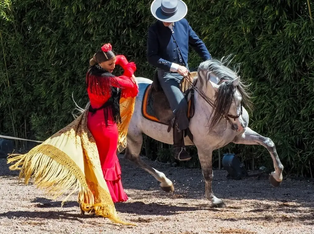 Ballaora de flamenc actuant en un sopar de gala d'empresa