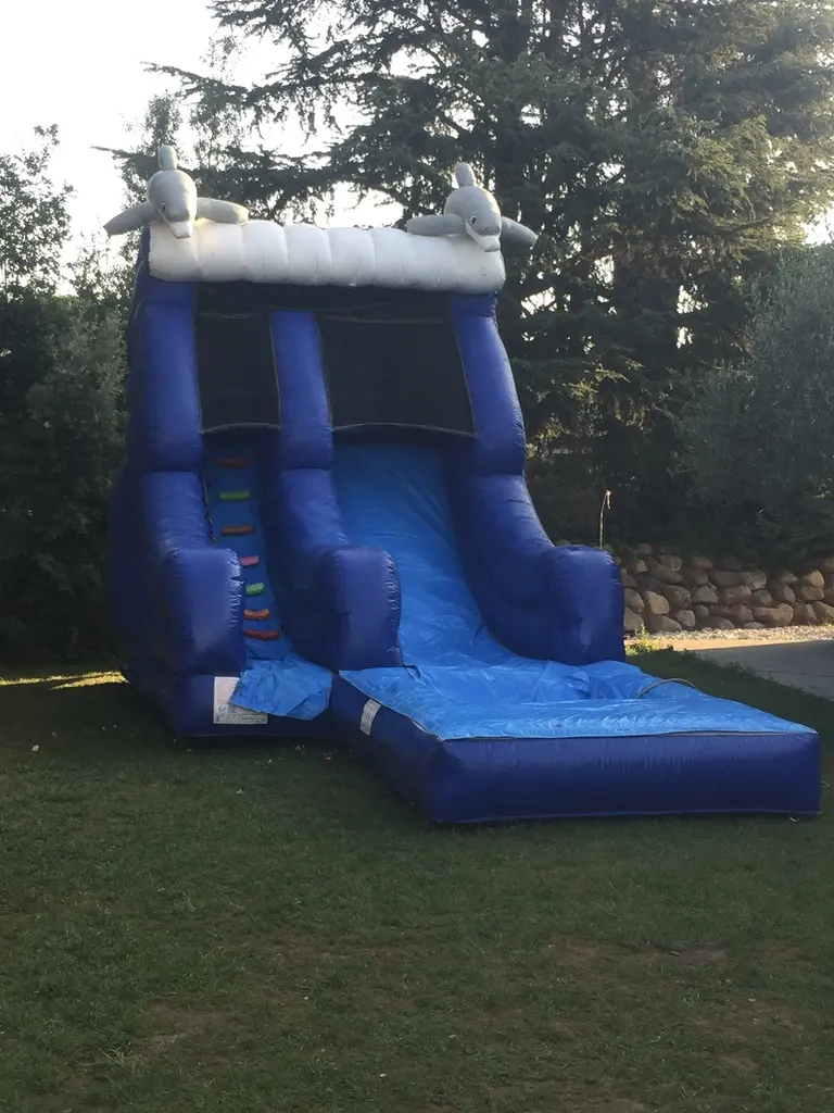 Inflable Aquàtic amb Tobogan Super Dofí en un esdeveniment real