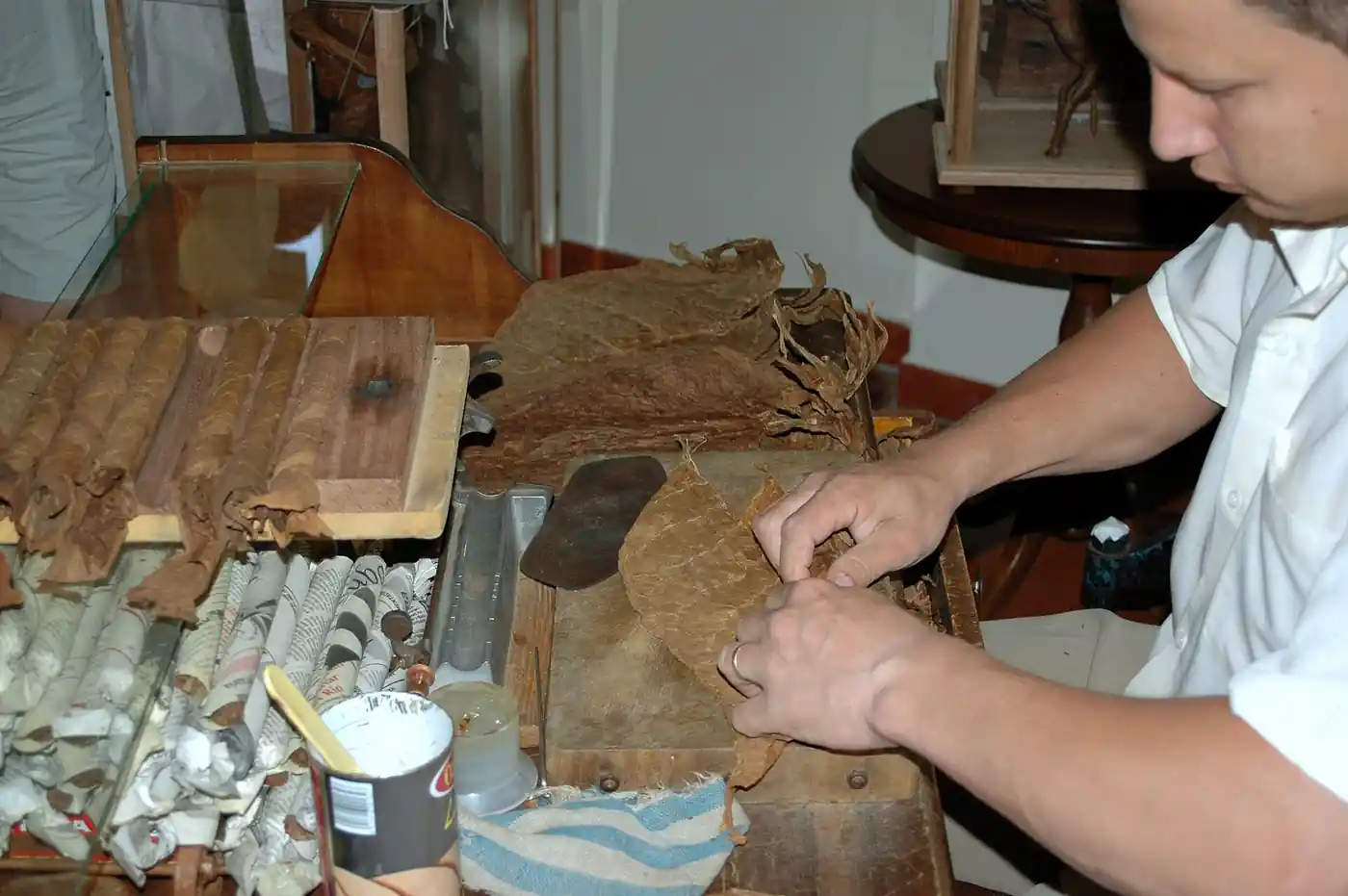 Cigar Roller for Events at a real event