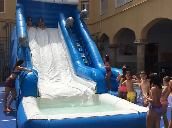 Hinchable Acuático con Tobogán Delfín de alquiler para eventos 2
